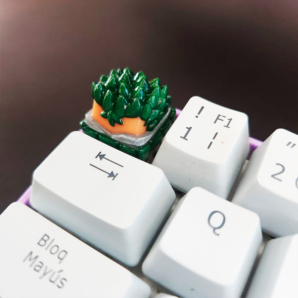 ZORO